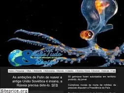 Sites similar to achetudoeregiao.com.br