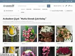 Sites similar to acibademcicek.com