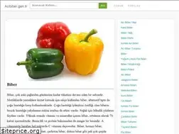 Sites similar to acibiber.gen.tr