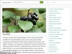 Sites similar to acicehre.gen.tr