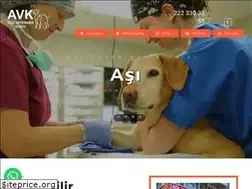 Sites similar to acilveterinerklinigi.com