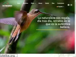 Sites similar to aconabikh.org