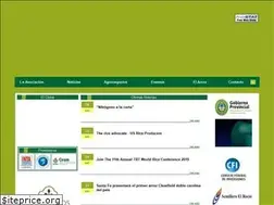 Sites similar to acpaarrozcorrientes.org.ar