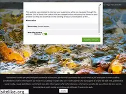 Sites similar to acquacolturaitalia.com