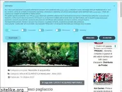 Sites similar to acquariofiliaitalia.com