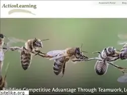 Sites similar to actionlearning.com