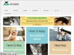 Sites similar to actionvolunteersforanimals.com