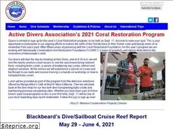 Sites similar to activedivers.org