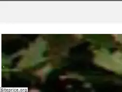 Sites similar to activwall.com