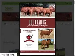Sites similar to actualidadagropecuaria.com.uy