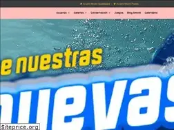 Sites similar to acuariomichin.com