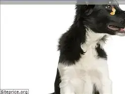 Sites similar to acupcan.com