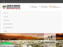 Sites similar to adaklikankara.com