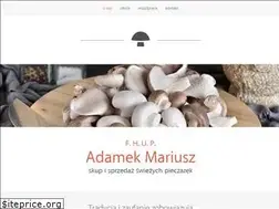 Sites similar to adamekmariusz.pl