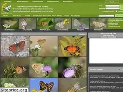 Sites similar to adamerkelebek.org