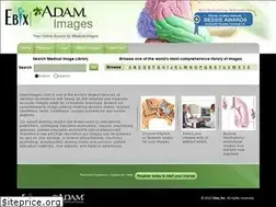 Sites similar to adamimages.com