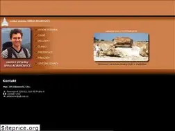 Sites similar to adamovic.euweb.cz