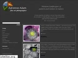 Sites similar to adamphoto.com