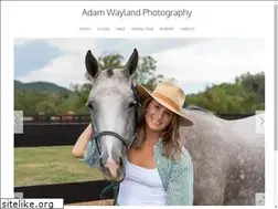 Sites similar to adamwayland.com