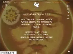 Sites similar to adamzadlo.com