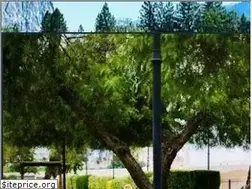Sites similar to adana.com