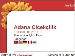 Sites similar to adanacicek.com