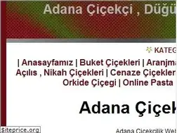 Sites similar to adanacicekci.name.tr