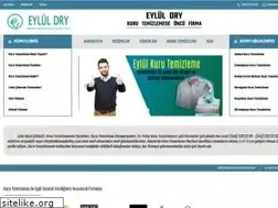 Sites similar to adanaeyluldry.com