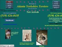 Sites similar to adantayorkshireterriers.com