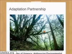 Sites similar to adaptationpartnership.org