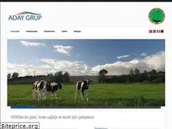 Sites similar to adaygroup.net