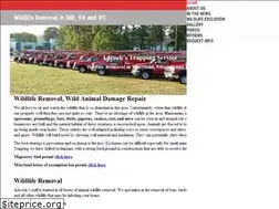 Sites similar to adcockstrapping.com