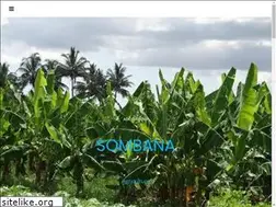 Sites similar to adcosomalia.com