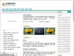 Sites similar to addeliverysolutions.com