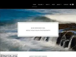 Sites similar to adelembuttolphgallery.com