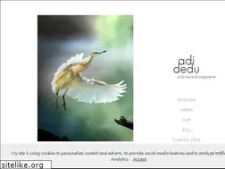 Sites similar to adidedu.com