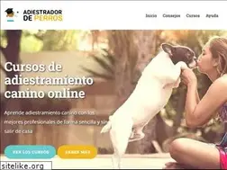 Sites similar to adiestradordeperros.com