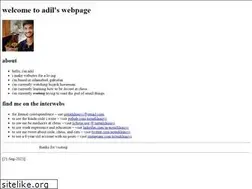 Sites similar to adilnaqvi.com
