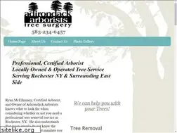 Sites similar to adirondackarborists.com