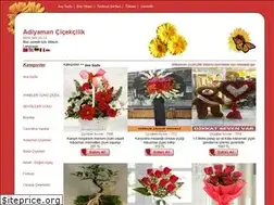 Sites similar to adiyamancicek.com
