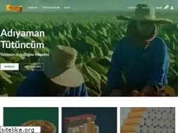 Sites similar to adiyamantutuncum6.store