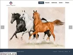 Sites similar to adnanozcivici.com
