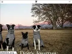 Sites similar to adogsjourney.com