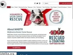 Sites similar to adoptaboston.com