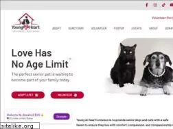 Sites similar to adoptaseniorpet.com