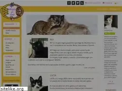 Sites similar to adoptaunamic.org