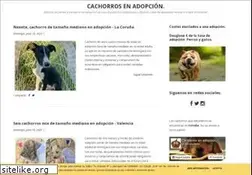 Sites similar to adoptauncachorro.com