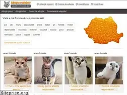 Sites similar to adoptiipisici.ro