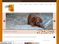 Sites similar to adorabledowneastlabradoodles.com