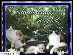 Sites similar to adorablerags.com